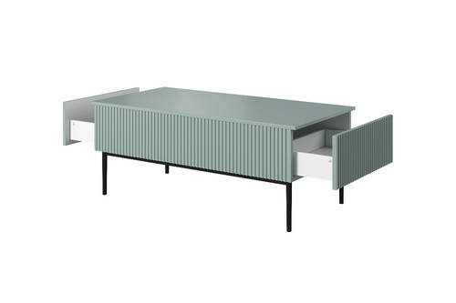 Coffee Table with Drawers Nicole, sage/black legs