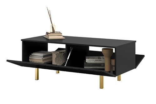 Coffee Table with Storage Scalia II 120, matt black, gold legs