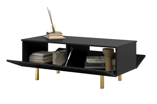 Coffee Table with Storage Scalia II 120, matt black, gold legs