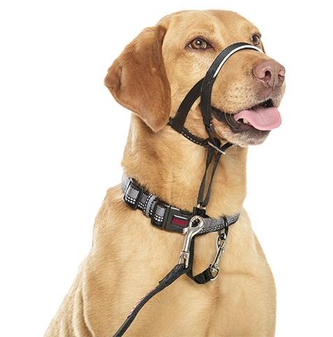 Halti Headcollar Size 3, black