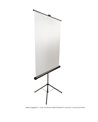 AVTek Projection Screen with Tripod Standard 150/1:1/150x150cm/Matt White