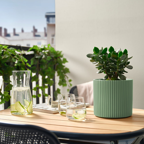DAKSJUS Plant pot, light green, 15 cm