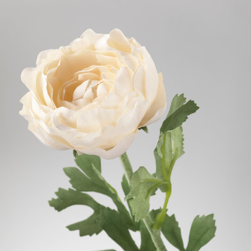 SMYCKA Artificial flower, Ranunculus, white, 52 cm