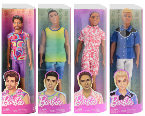 Barbie® Fashionistas Male Doll DWK44, 1pc, assorted models, 3+