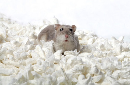 Spark 100% Pure Cellulose Bedding 8.5l