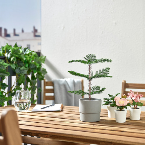 FEJKA Artificial Potted Plant, Indoor/Outdoor Norfolk Pine, 9 cm