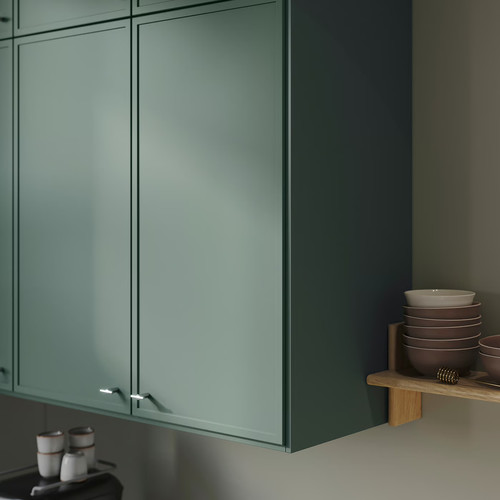 ASPUDDEN Door, dark grey-green, 40x80 cm