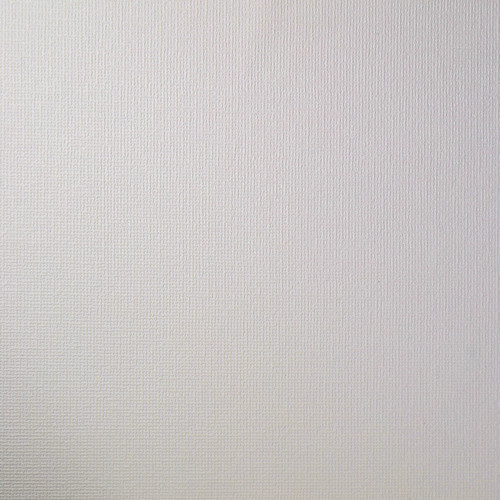 GoodHome Paintable Vinyl Wallpaper on Fleece Palmeri