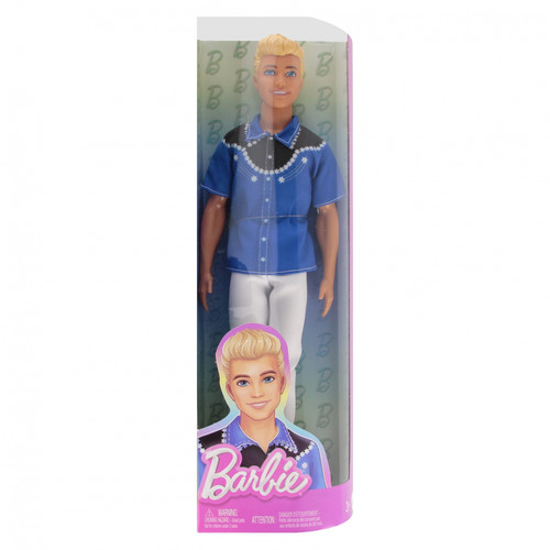 Barbie® Fashionistas Male Doll DWK44, 1pc, assorted models, 3+