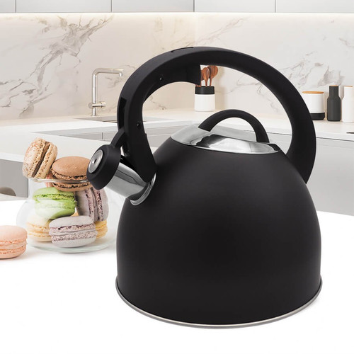 Feel Maestro 2.5L Stainless Steel Whistling Kettle MR-1325