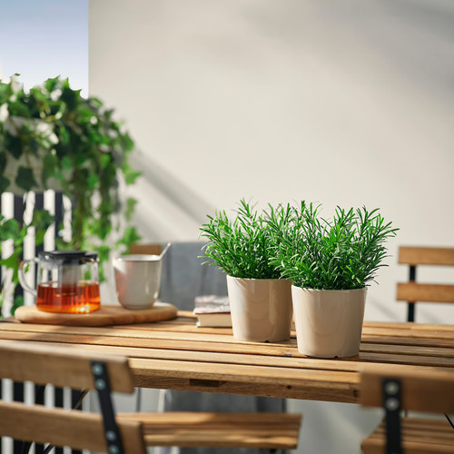 FEJKA Artificial potted plant, in/outdoor/Rosemary, 9 cm