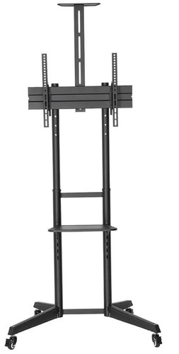 NewStar Floor Stand 37-70" 50kg FL50-550BL1