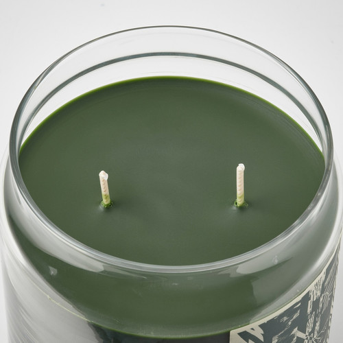 JÄMTSKOGEN Scented cndl in glass w lid/2 wicks, cypress & eucalyptus/dark green, 70 hr