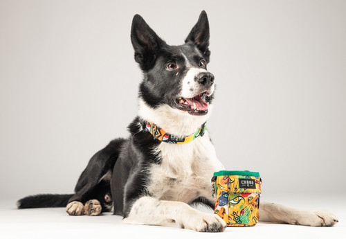 CHABA Dog Snack Pouch Story III Multi 2in1 Jumbo