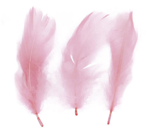 Decorative Feathers 16g, pastel pink