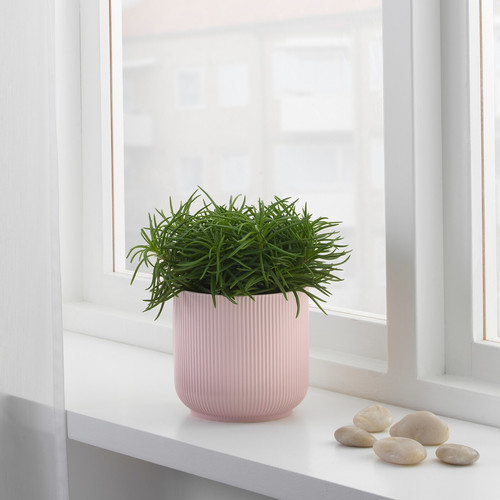 GRADVIS Plant pot, pink, 12 cm