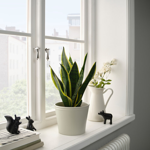 KÖRSBÄRSBJÖRK Plant pot, light grey/beige, 15 cm