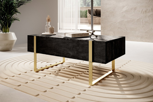 Coffee Table with 2 Drawers Verica, charcoal/gold legs