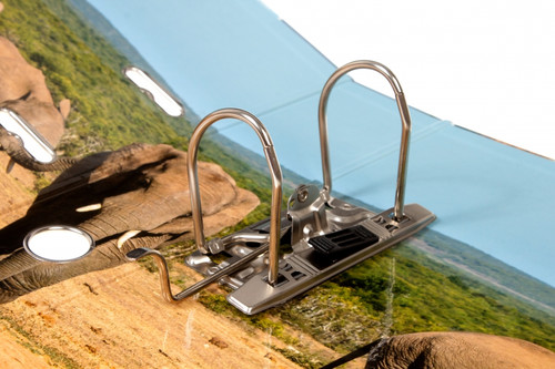 Lever Arch File A4 7cm, wild animals