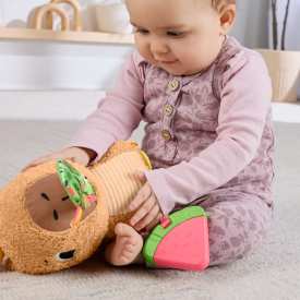 Fisher-Price Snuggly Snacky Capybara Plush Baby Sensory Toy HYR54 6m+