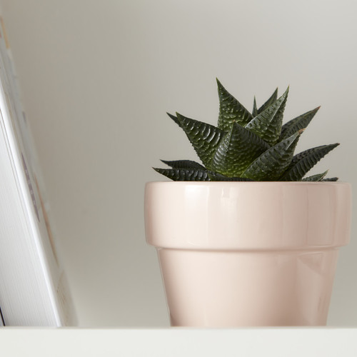 Plant Pot GoodHome 9 cm, pink