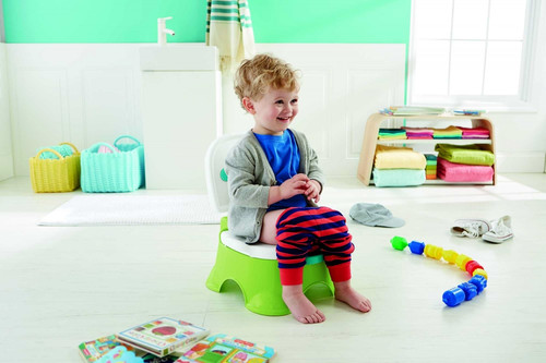 Fisher-Price Royal Stepstool Potty DLT00