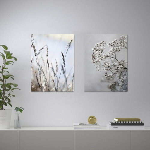 PJÄTTERYD Picture, set of 2, meadow grass, 30x40 cm
