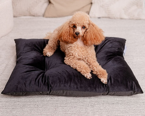 MIMIKO Pets Dog Cushion Velvet 70x50cm, black