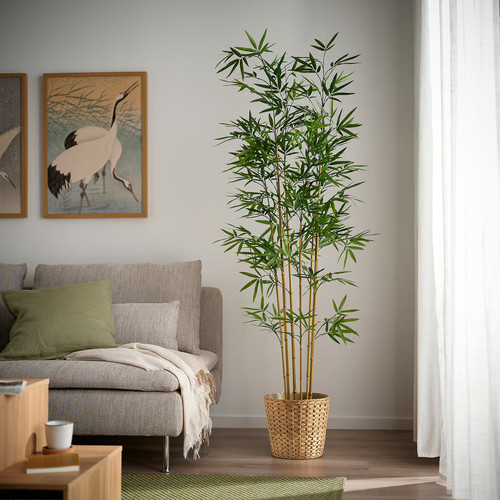 FEJKA Artificial potted plant, in/outdoor/bamboo, 21 cm