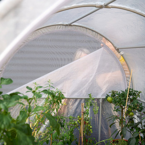 ASPAREN Greenhouse, transparent white, 123x190x190 cm