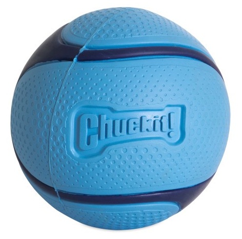 Chuckit! Sniff Fetch Ball Bacon Medium Dog Ball