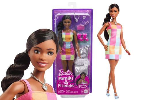Barbie 'Brooklyn' Family and Friends Doll JBF42 3+