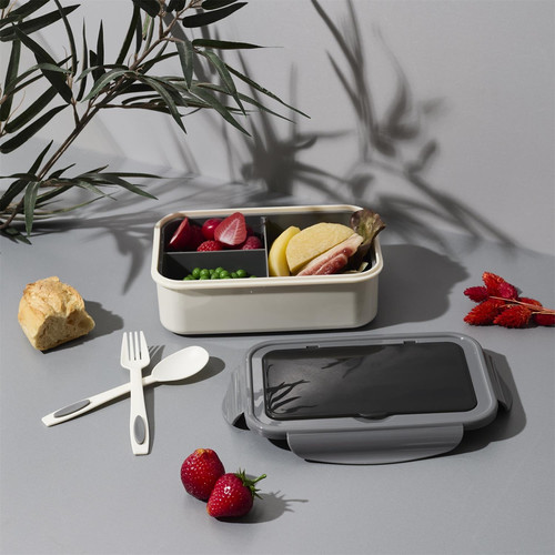 Lunch Box Single with Cutlery