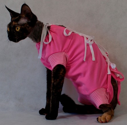 Grande Finale Pet Recovery Suit Post-Surgical 25cm, blue