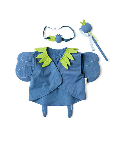 Kid's Concept Costume Blueberry Fairy 3+