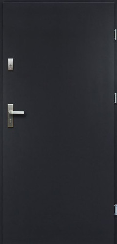 External Door/Flat Entrance Door O.K. Doors Artemida P55 80, right, anthracite