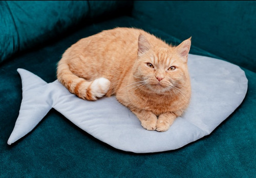 MIMIKO Pets Velvet Cat Mat Fish