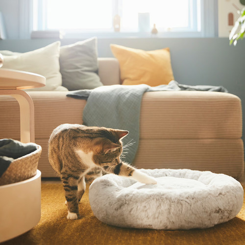 UTSÅDD Pet bed, light grey, S