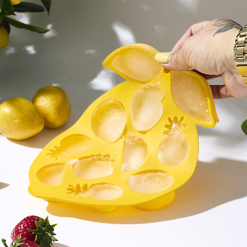 Silicone Tropical Ice Cube Tray