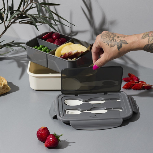 Lunch Box Single with Cutlery