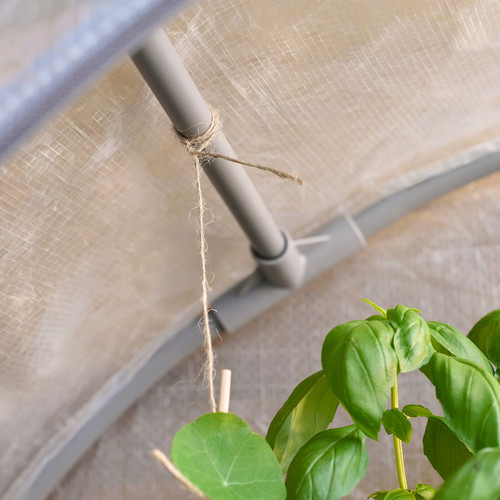 ASPAREN Greenhouse, transparent white, 95x32x162 cm