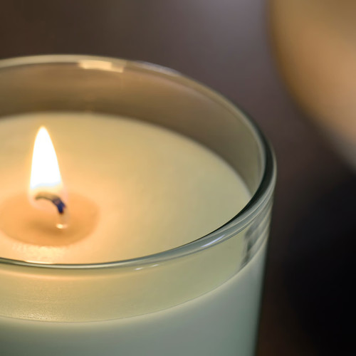 LOTSFÅGEL Scented candle in glass, Apple light green, 20 hr