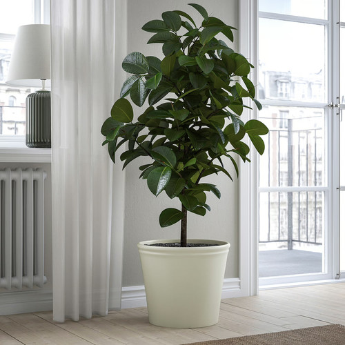 KÖRSBÄRSBJÖRK Plant pot, light grey/beige, 32 cm