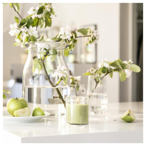LÖVSKOGSLUND Scented candle in glass, Apple/light green, 40 hr