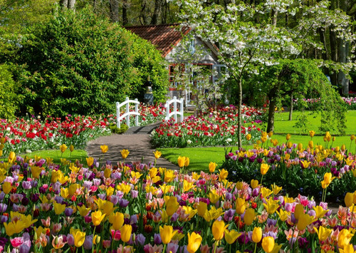 Ravensburger Jigsaw Puzzle 1000pcs Gardens Keukenhof Holland 14+
