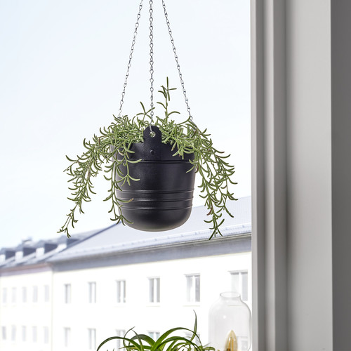 PÄRLRÖNN Hanging planter, in/outdoor/black, 15 cm
