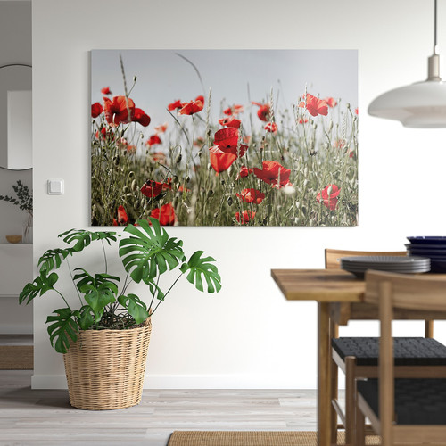PJÄTTERYD Picture, red wildflowers, 118x78 cm