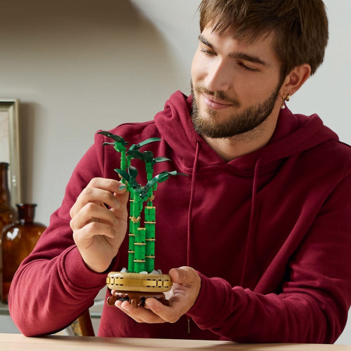 LEGO Botanicals Lucky Bamboo 18+