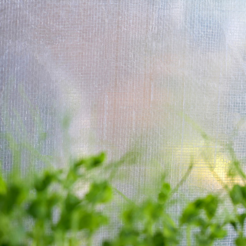 ASPAREN Greenhouse, transparent white, 95x32x162 cm