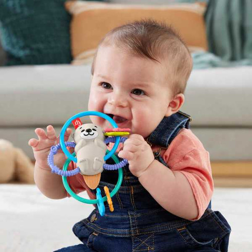 Fisher-Price Baby Rattle And Bpa-Free Teething Toy HJW12 3m+